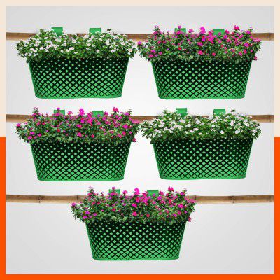 Patio by Bathla - Dia Oval Diamond Hanging Metal Pot Holders, Green - Set of 5