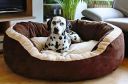 Pawsome Luxurious & Durable Polyester Filled Soft Dual Colour Dog/Cat Bed (Medium, Brown) L75 X W60 XH25 cm...