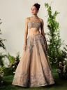 Payal & Zinal Embellished Thread Work Ready to Wear Lehenga...
