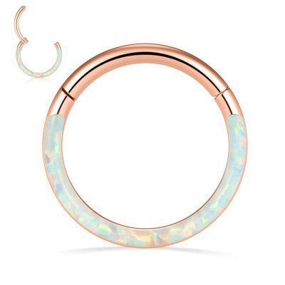 PEAKLINK 16G 18G 316L Stainless Steel CZ/OPAL Septum Piercing Septum Clicker Ring Hinged Nose Ring Daith Earrings Conch Piercing Jewelry Helix Cartilage Tragus Lobe Belly Hoop Earring