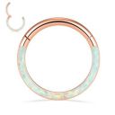 PEAKLINK 16G 18G 316L Stainless Steel CZ/OPAL Septum Piercing Septum Clicker Ring Hinged Nose Ring Daith Earrings Conch Piercing Jewelry Helix Cartilage Tragus Lobe Belly Hoop Earring...