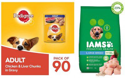 Pedigree & IAMS Combo for Adult Dogs - Chicken & Liver Chunks in Gravy Wet Dog Food, 70 g (Pack of 90) + Proactive Health (Large Breed, 1.5+ Years) 3 kg