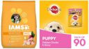 Pedigree & IAMS Combo for Puppy - Chicken Chunks in Gravy Wet Dog Food, 70 g (Pack of 90) + Proactive Health (Small & Medium Breed, <1 Years) 3 kg...