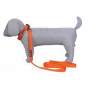 Pets Like Spun Poly Collar and Leash Set 25 mm...