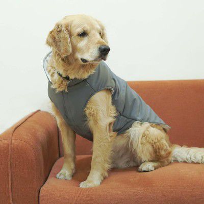 Pet's Way Dog Winter Winter Frost Jacket (Grey-XL)