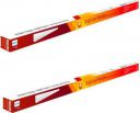 PHILIPS Ujjwal 20 Watts LED Batten (Pack of 2, White, Cool Day Light) 20 W 110.3 cm Tube Light  (Pack of 2)...
