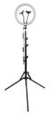 Photron 12 INCH Ring Light with Mobile Holder & Reversible Light Stand...