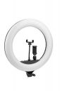 PHOTRON Professional 45.72 cm (18 Inch) LED Ring Light with Mobile Holder PH18RL | LED: SMD 480Pcs | 1 Fixed Mobile Holder and 1 Flexible Mobile Holder | Ball Head...
