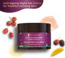 Pilgrim Anti Ageing Red Vine Night Gel Creme with Retinol For Glowing Skin  (8 g)...