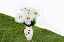 Pindia Artificial Flower Real Touch Daisy Bud Bouquet Flower Bunch For Home Décor...