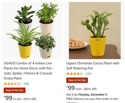 Plants from ₹99 | Many options