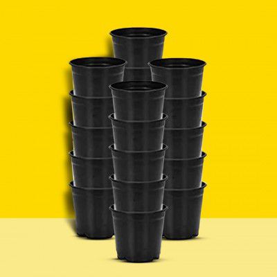 Plastic Flower Pots 6 Inch | Black Nursery Plant Pots for Indoor & Outdoor Gardening | Pack of 10