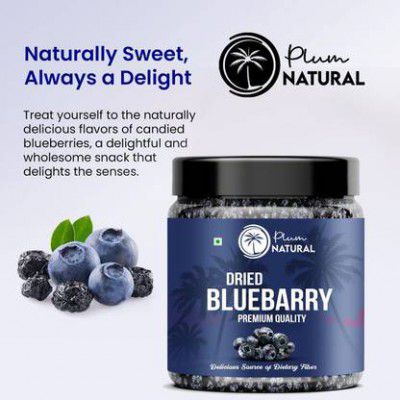 Plum Natural Organic Fresh Dried Blueberries | Dry Fruits Unsweetened Blueberries (1 x 500 g)