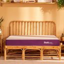 Plush Living Latex Mattress Bed Latex Mattress ...
