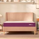 Plush Living Mattress Bed Mattress ...