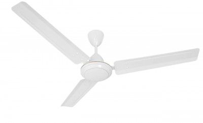 Polycab Viva Economy 600 mm High speed Ceiling Fan