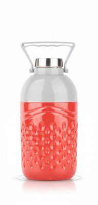 Premium Insulated Sports Water Bottle with Integrated Handle