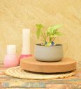 Preston Iron Grey Desk Pot...