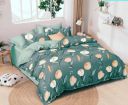 PRIDHI Pure Cotton Single Bedsheet with Pillow Cover for Bedroom (Multicolour, 60 x 90 Inch)...