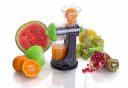 Primelife Manual Plastic Fruits & Vegetable Juicer with Easy to Turn Steel Handle - Multicolor (Mini Juicer Pro)...