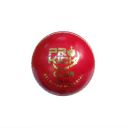 Prokick LB 102 Club Leather Cricket Ball, Red...