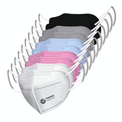 Promisca N95 Protective Face Mask Ear Loop Style 5 layered filtration (Pack of 10 Mask)