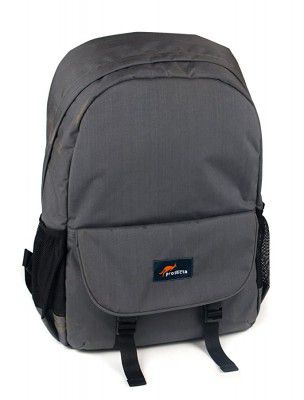 Protecta Business As Usual Laptop Backpack for Laptops with Screen Size Up to 15.6 Inch. (Grey)