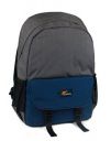 Protecta Business As Usual Laptop Backpack for Laptops with Screen Size Up to 15.6 Inch. (Grey & Navy)...