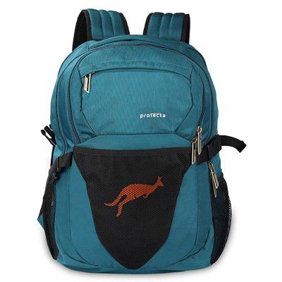Protecta Enigma 30 L Water Repellant Backpack