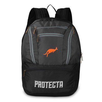 Protecta Paragon 33 L Backpack for Laptops Up to 15.6 Inch