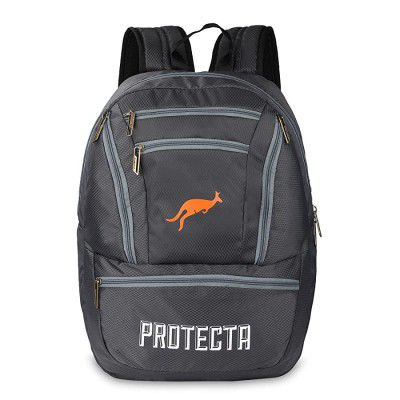 Protecta Paragon 33 L Backpack for Laptops Up to 15.6 Inch