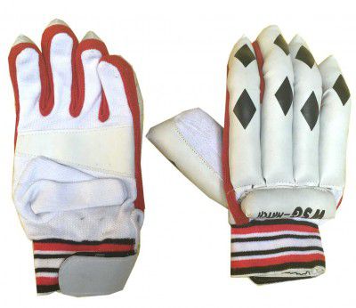 Protoner SPO48 WSG Cricket Batting Gloves, Right