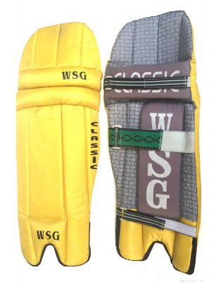 Protoner SPO63 WSG Cricket Legguard, Set of 2