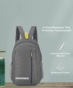 PROVOGUE  Medium 25 L Backpack DAYPACK Small Bags Backpack for daily use library office outdoor hiking Backpack  (Grey)...
