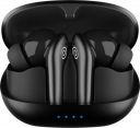PTron Basspods Encore TWS Earbuds, 50H Playtime, Quad Mic ENC Calls, BT5.3,Type-C,IPX4 Bluetooth Gaming  (Black, In the Ear)...