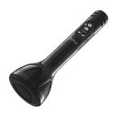 PTron Fusion Sing 5W Wireless Karaoke Mic with 12Hrs Playtime...