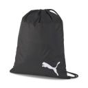 Puma 9 Ltrs (2 Cms) Backpack (76853_Black)...