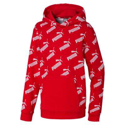 Puma Men Sweatshirt