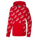 Puma Men Sweatshirt...