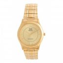 Q&Q Analog Gold Dial Mens Watch-S342-001NY...