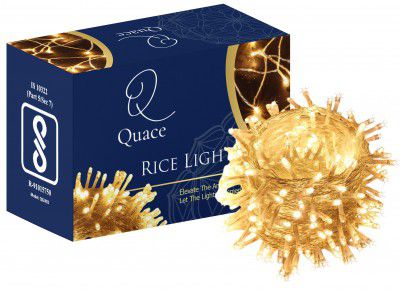 Quace 12 Meter Decorative 42 Warm White LED String Light Plug