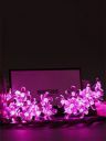 QuacePink Flower Fairy String Lights...