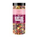 Raghbat Premium 8 in 1 Berry Mix 200g Jar | Dried Berries | Cranberry | Strawberry | Blueberry | Kiwi | Blackcurrant | Goji Berry | Mango | Black Raisins | Healthy Snacks | Ready to Eat...