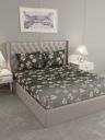 Raymond Home 100% Cotton 104 TC Multicolor Double bedsheet with 2 Pillow Covers...