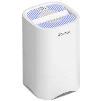 Rbioko Small Air Purifiers for Home, HEPA Air Purifiers for Small Rooms, Portable Mini Air Purifier (White)