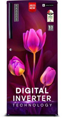 realme TechLife 205 L Direct Cool Single Door 2 Star Refrigerator (Trisha Wine, 205BD2RM23)