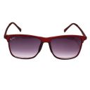 Redex Stylish Wayfarer Sunglasses For Unisex...