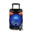 (Renewed) Ant Audio Rock 900 Trolley Party Speaker with Karaoke with FM Radio - 90 watt...