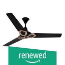 (Renewed) Luminous Jaipur Gangaur 1200Mm Ceiling Fan (Abu Black)...
