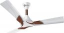 (Renewed) Orient Electric Wendy 1200mm Ceiling Fan (Pearl White/Walnut), Standard...